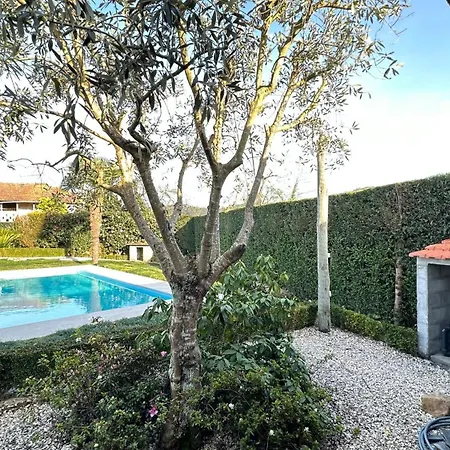 Casa Da Tia Palmira בית כפרי